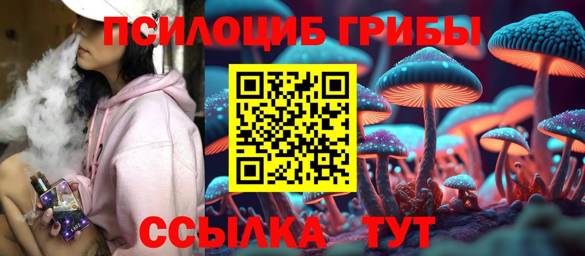 Галлюциногенные грибы мицелий  Вход с VPN  Пушкино 