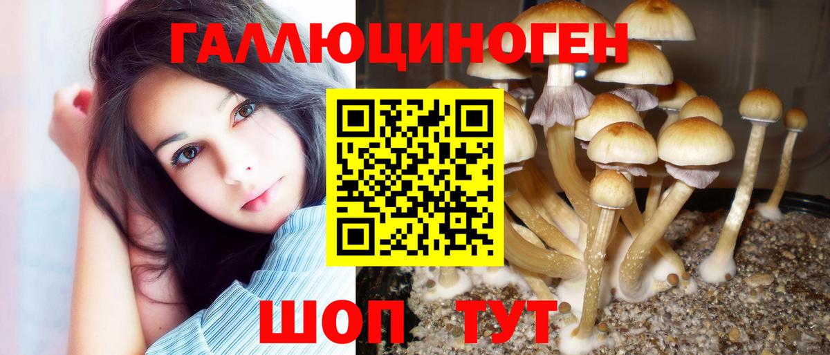 Псилоцибиновые грибы GOLDEN TEACHER Пушкино